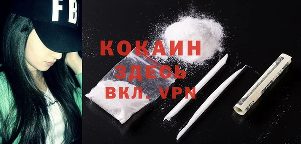 твердый Алексеевка