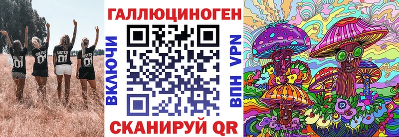 купить наркотик  Сосновка  Галлюциногенные грибы Psilocybe 