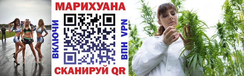 где можно купить   Сосновка  Марихуана планчик 